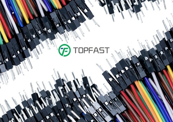 Electronics wire harness